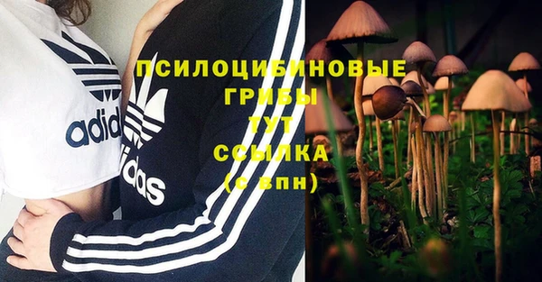 прущая мука Мегион