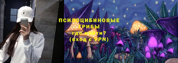 амф Медногорск