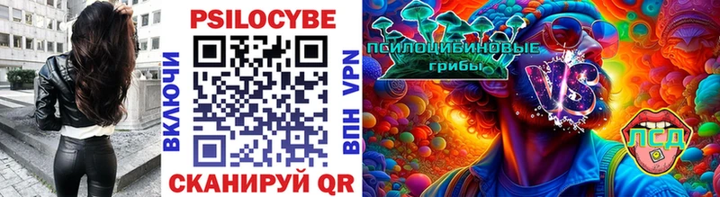 Купить закладки  Кировград  Псилоцибиновые грибы Magic Shrooms 